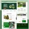 do-duda-websites-for-your-business (1)