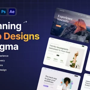 Create a Stunning Online Presence